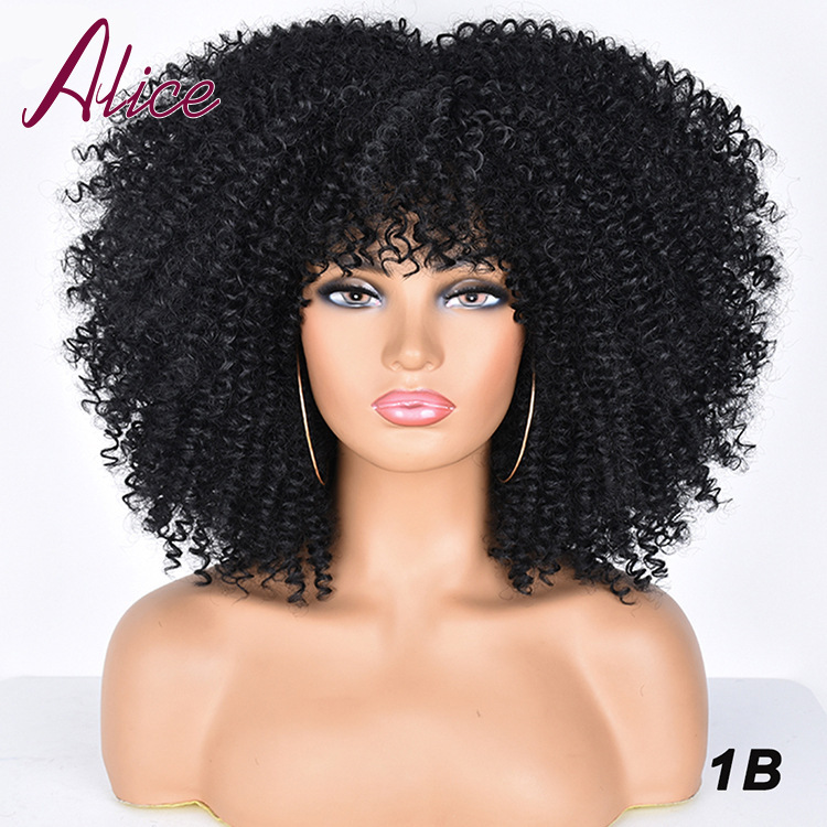 10 pcs mixed colors short hair afro kinky curly wigs with bangs for black women(below price is10 pcs) 10 pcs mixed colors short hair afro kinky curly wigs with bangs for black women(below price is10 pcs)